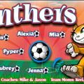 Panthers Soccer Team Banner