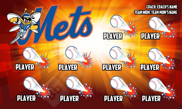 Mets Baseball bee
