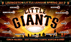 Giants Little Leage Baseball Team Banner Livingson Spring 2017