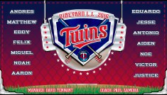 Deneyard LL 2016 Twins