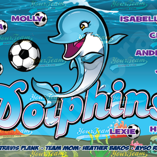 Aquatic | Fish | Ocean Life