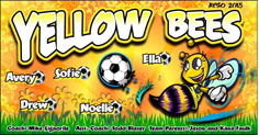 Bugs | Spiders | Bees | Hornets | Wasps | Insects