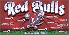 Bull | Longhorn | Stear