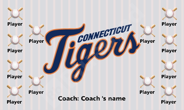 Tigers baseball team banner