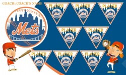 Mets Team Banner