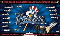 Yankees team abnner thousan oaks little league AAA Majors 2013