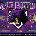 Purple Panther