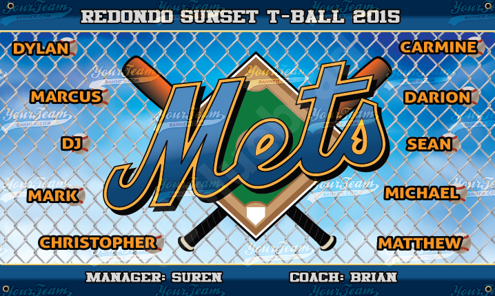 Mets Cross Bat Chainlink