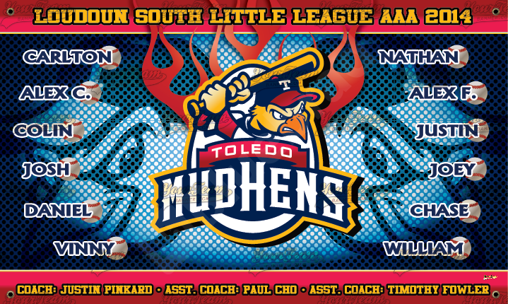 Toledo Mudhens
