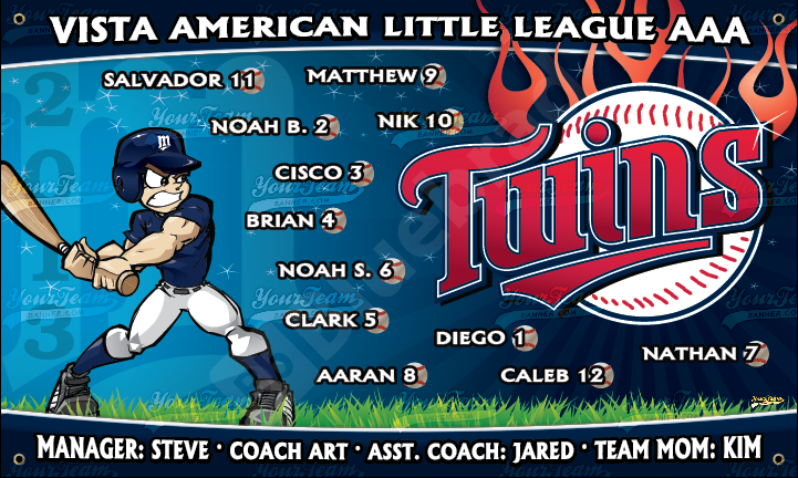  Vista Amarican Little League AAA Twins