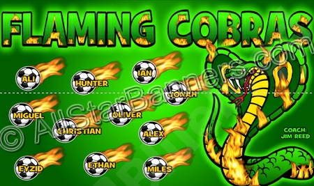 FLAMING COBRAS