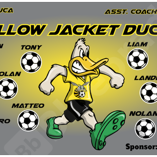 Birds | Eagle | Hawks | Ducks | Owl ...