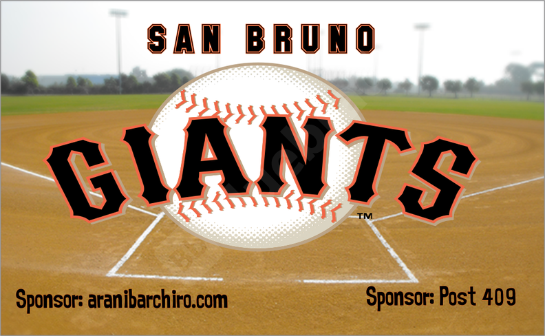 Giants Baseball Team banner