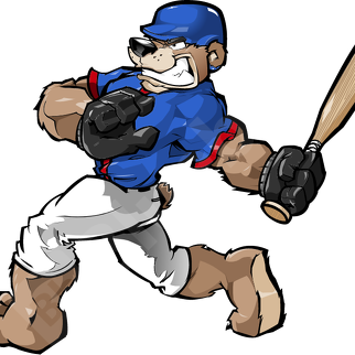 MASCOTS Ideas