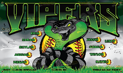 Vipers