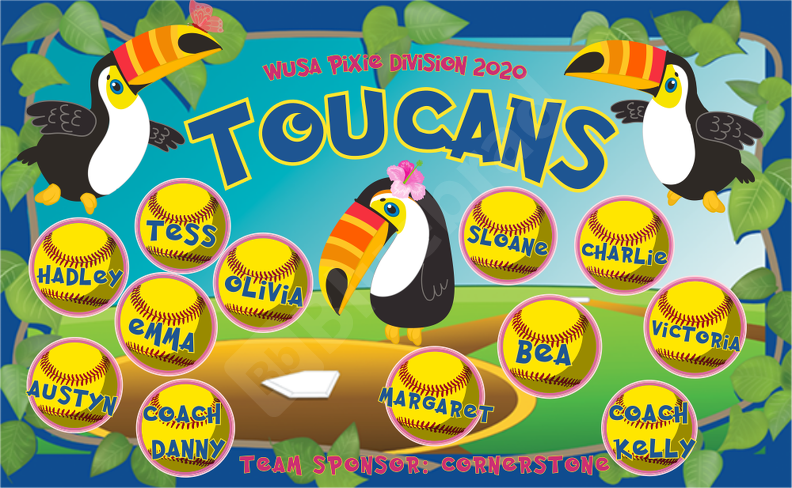 Toucans