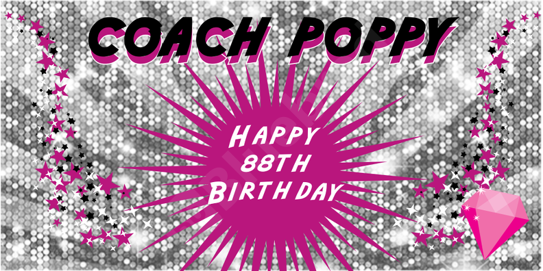 Birthday Banner 3x8