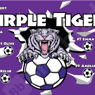 Cats | Tigers | Lions | Bengales | Cougar | Lepard ...
