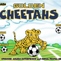 Golden Cheetahs Soccer team banner