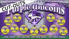 Purple unicorns softball team banner idea