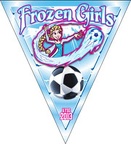 frozen girls pennants