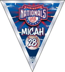 Washington Nationals Pennants