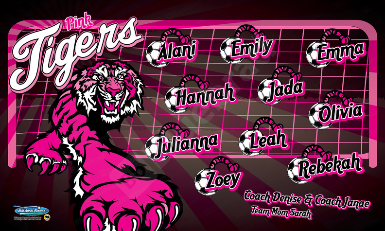 230823025.2 Pink Tigers - Sarah Billings-01
