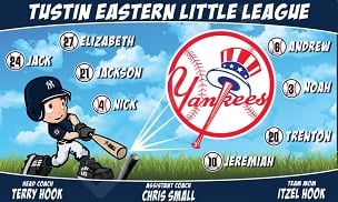 2101011793-Yankees