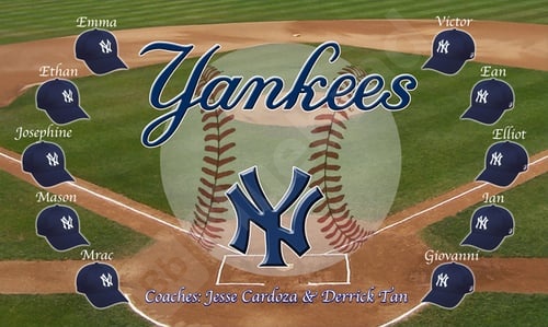 2101011794-Yankees
