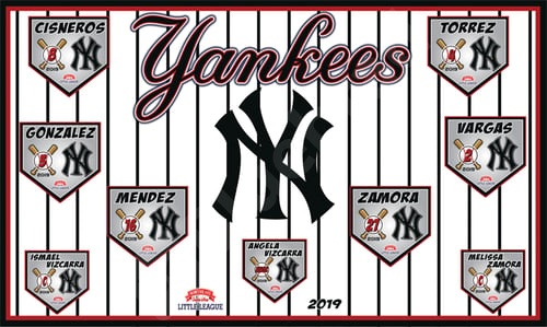 2101011796-Yankees