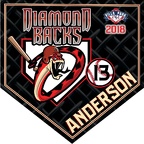 diamond back Villa Park
