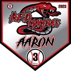 red mambas pennants