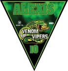 vipersoccer