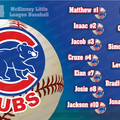 Cubs Little Leage Baseball Team Banner