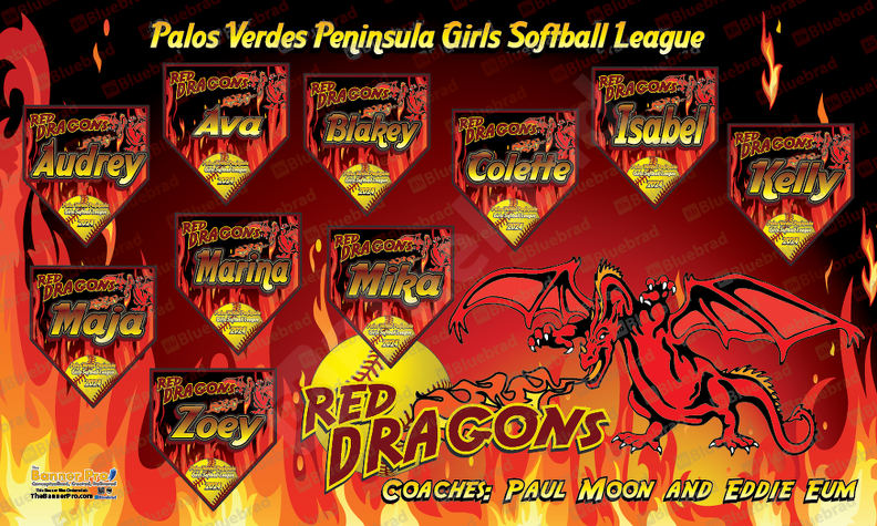 Rosario Chavarin - Red Dragons 362.2  3x5 BAnner