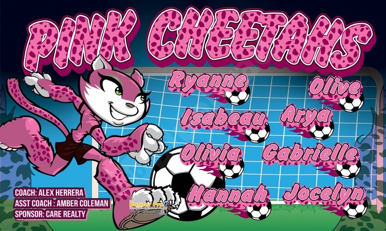 Pink Cheetahs Soccer team banner