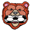 br 06