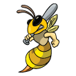 CA Baseball - Bee and Wasps