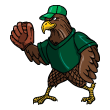 hawk Catcher