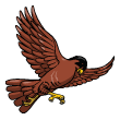 Flying Hawk