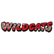 BB idea wildcats 01