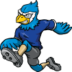 Birds | Hawks | Eagles | ...