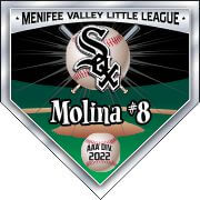 Baseball Pendents